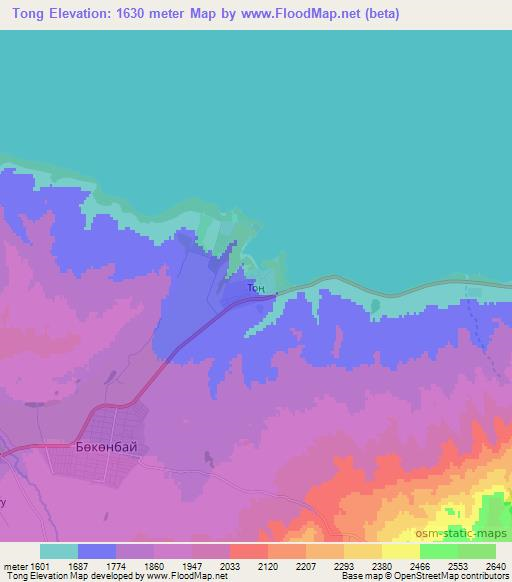 Tong,Kyrgyzstan Elevation Map