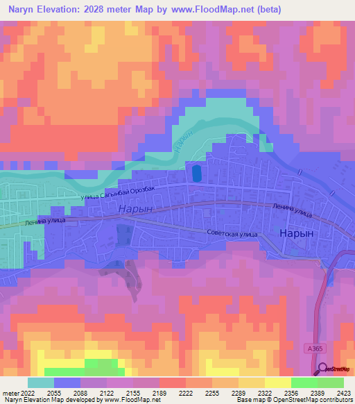 Naryn,Kyrgyzstan Elevation Map