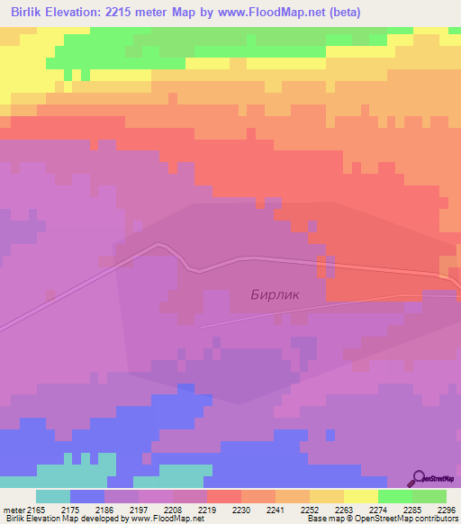 Birlik,Kyrgyzstan Elevation Map