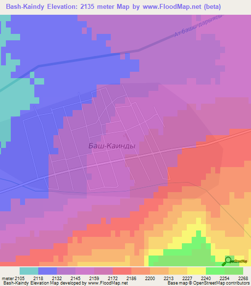 Bash-Kaindy,Kyrgyzstan Elevation Map