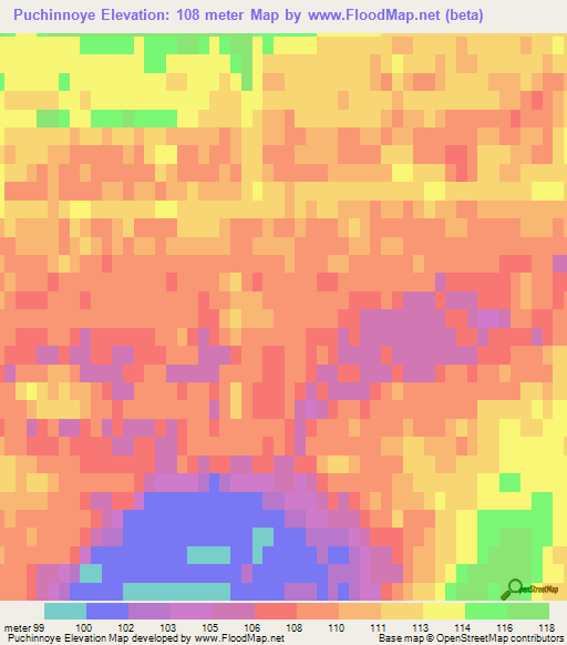 Puchinnoye,Russia Elevation Map