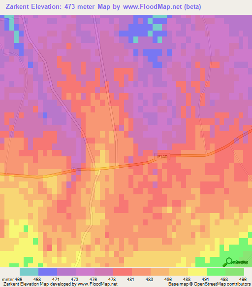 Zarkent,Uzbekistan Elevation Map