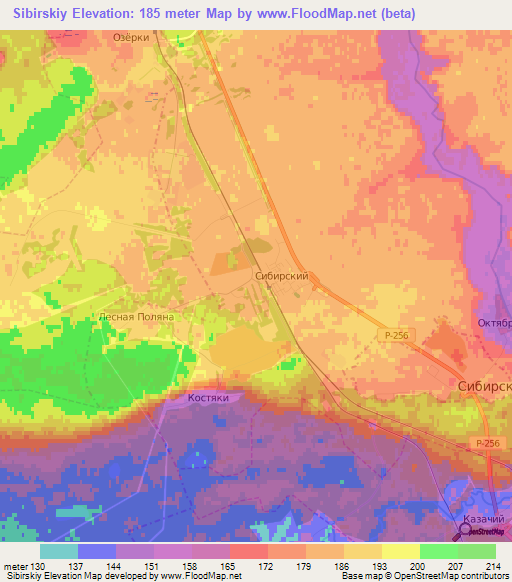 Sibirskiy,Russia Elevation Map