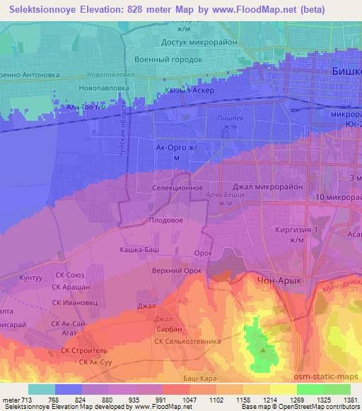 Selektsionnoye,Kyrgyzstan Elevation Map