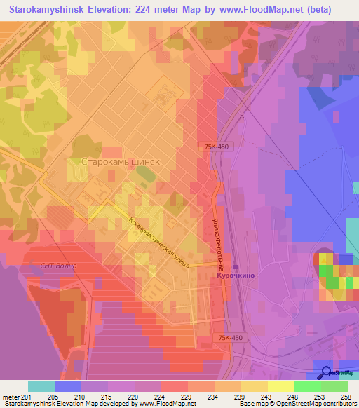 Starokamyshinsk,Russia Elevation Map