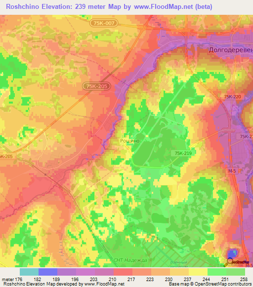 Roshchino,Russia Elevation Map