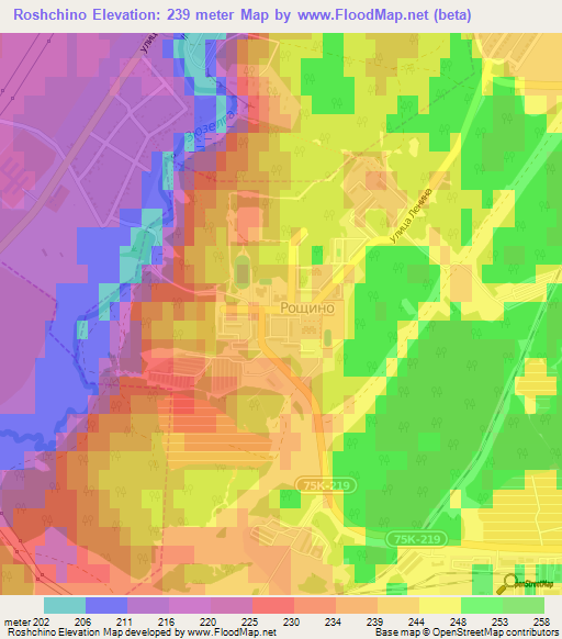 Roshchino,Russia Elevation Map