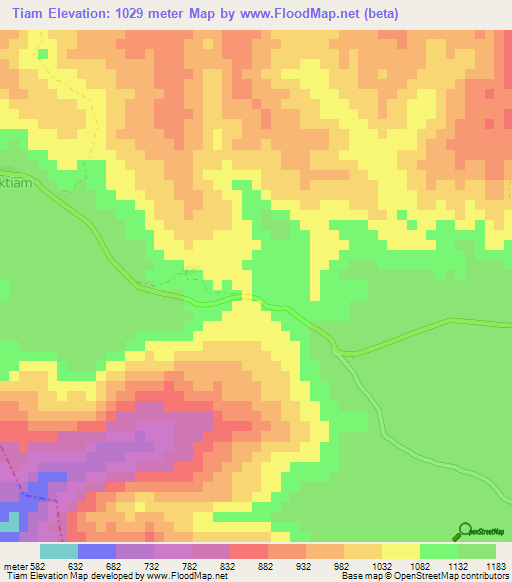 Tiam,Laos Elevation Map