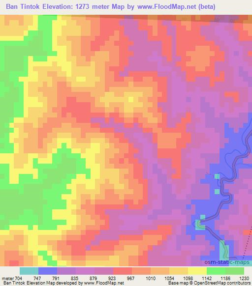 Ban Tintok,Laos Elevation Map