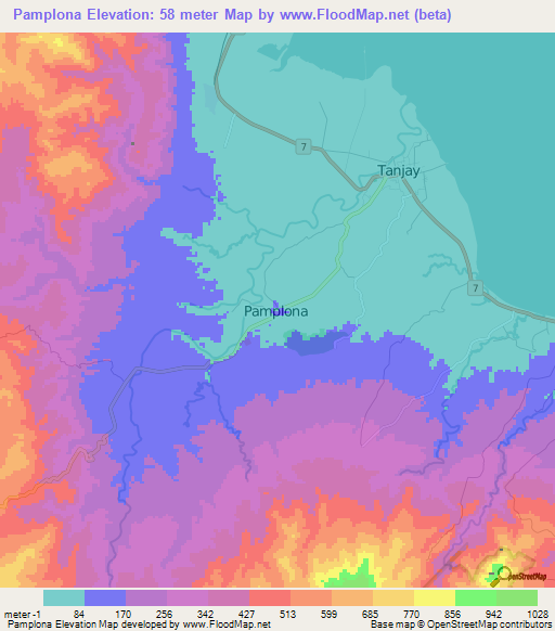 Pamplona,Philippines Elevation Map