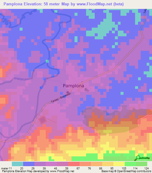 Pamplona,Philippines Elevation Map