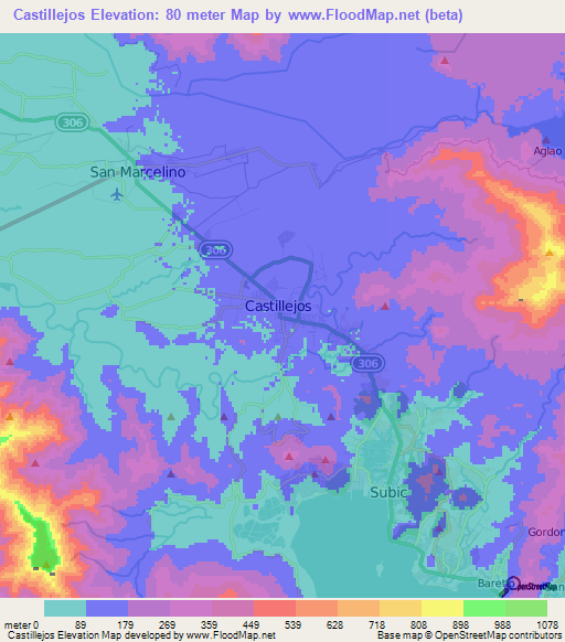 Castillejos,Philippines Elevation Map