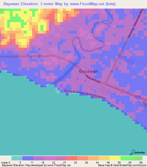 Bayawan,Philippines Elevation Map