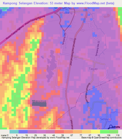 Kampong Selangan,Brunei Elevation Map