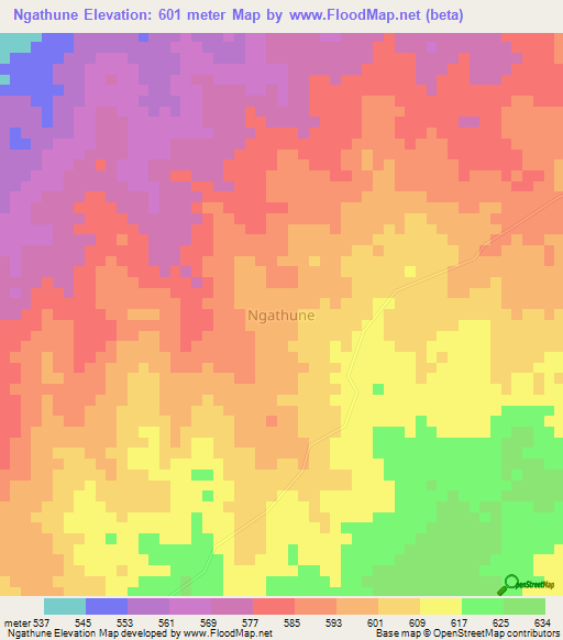 Ngathune,Kenya Elevation Map