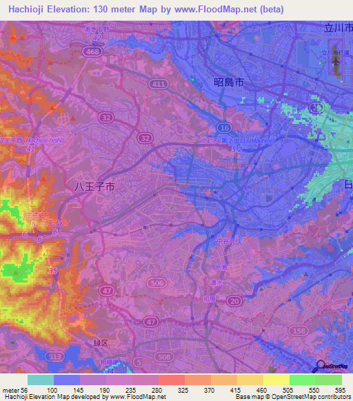 Hachioji,Japan Elevation Map