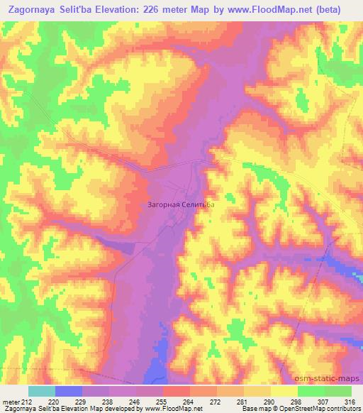 Zagornaya Selit'ba,Russia Elevation Map