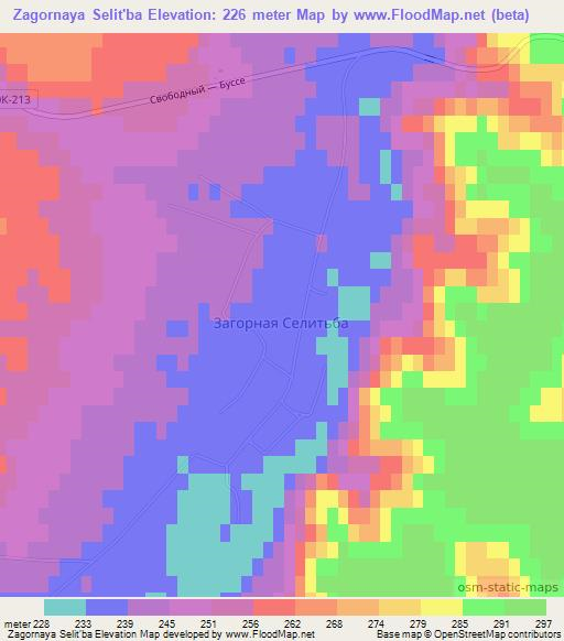 Zagornaya Selit'ba,Russia Elevation Map