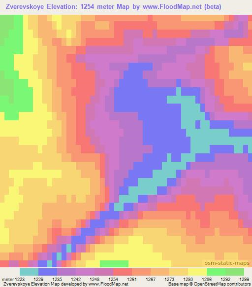 Zverevskoye,Russia Elevation Map