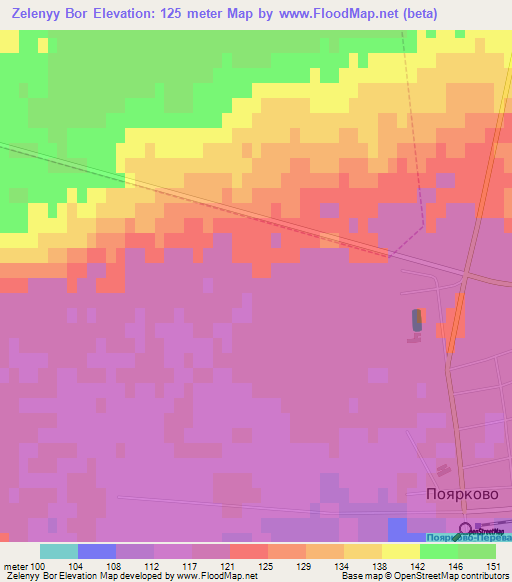 Zelenyy Bor,Russia Elevation Map