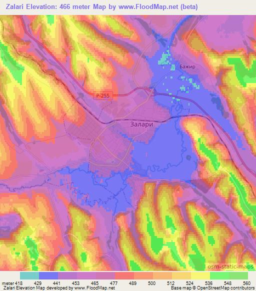 Zalari,Russia Elevation Map