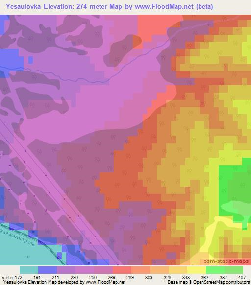 Yesaulovka,Russia Elevation Map