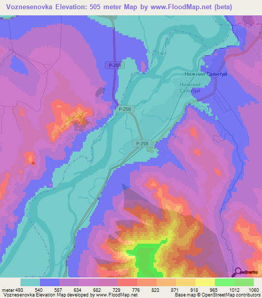 Voznesenovka,Russia Elevation Map