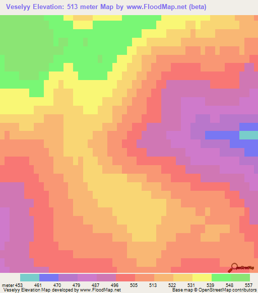 Veselyy,Russia Elevation Map