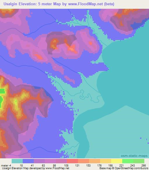 Usalgin,Russia Elevation Map