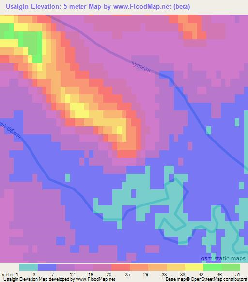 Usalgin,Russia Elevation Map