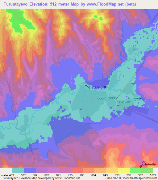 Turuntayevo,Russia Elevation Map