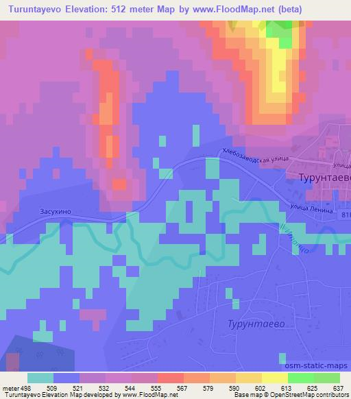 Turuntayevo,Russia Elevation Map