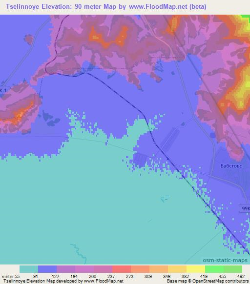 Tselinnoye,Russia Elevation Map