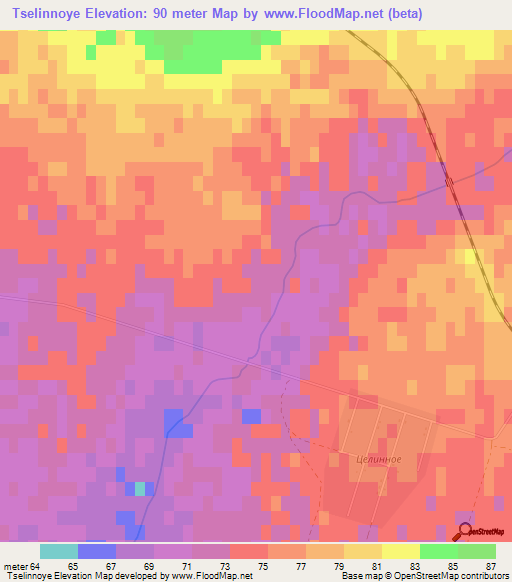 Tselinnoye,Russia Elevation Map