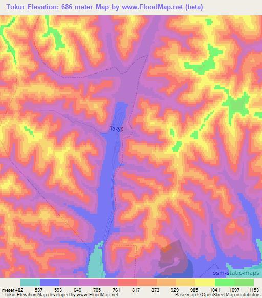 Tokur,Russia Elevation Map