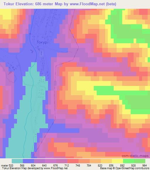 Tokur,Russia Elevation Map