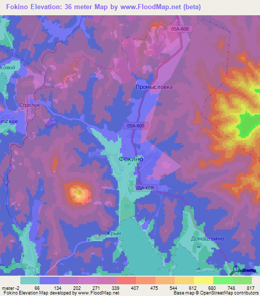 Fokino,Russia Elevation Map