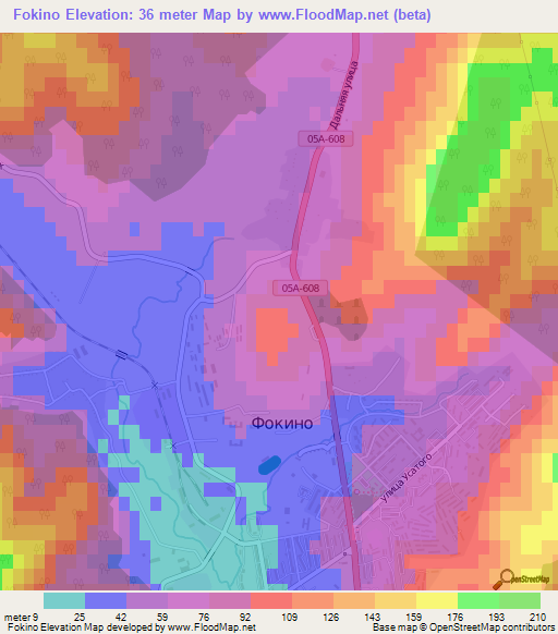 Fokino,Russia Elevation Map