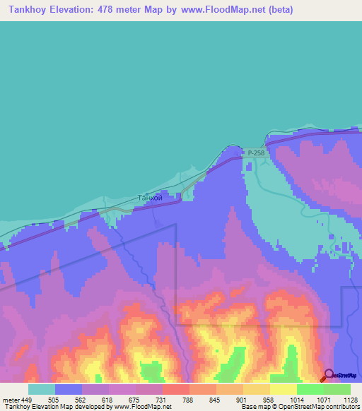 Tankhoy,Russia Elevation Map