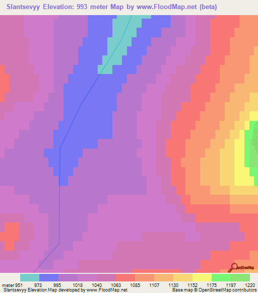 Slantsevyy,Russia Elevation Map