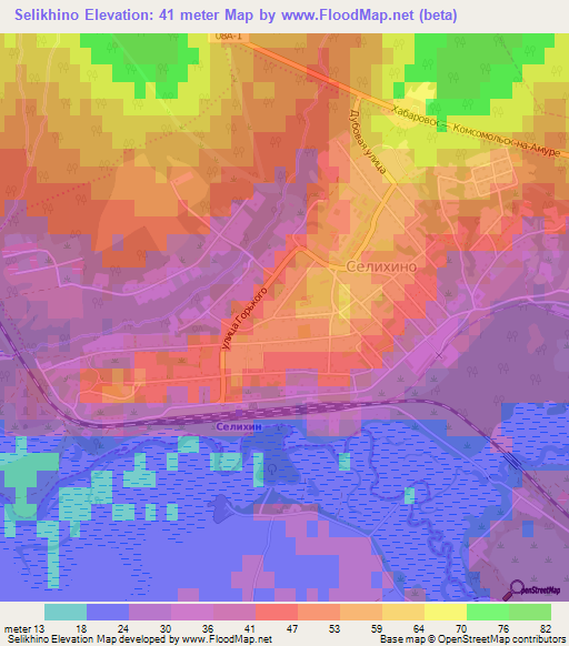 Selikhino,Russia Elevation Map