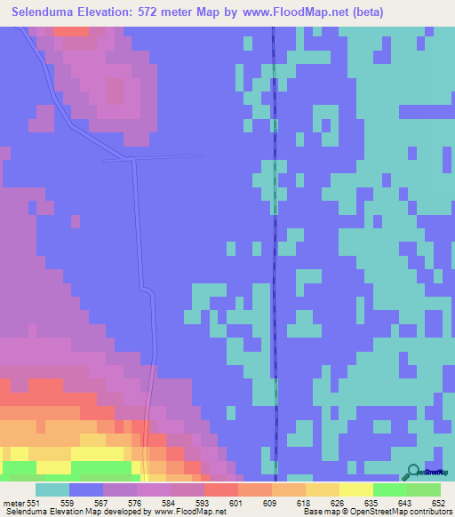 Selenduma,Russia Elevation Map