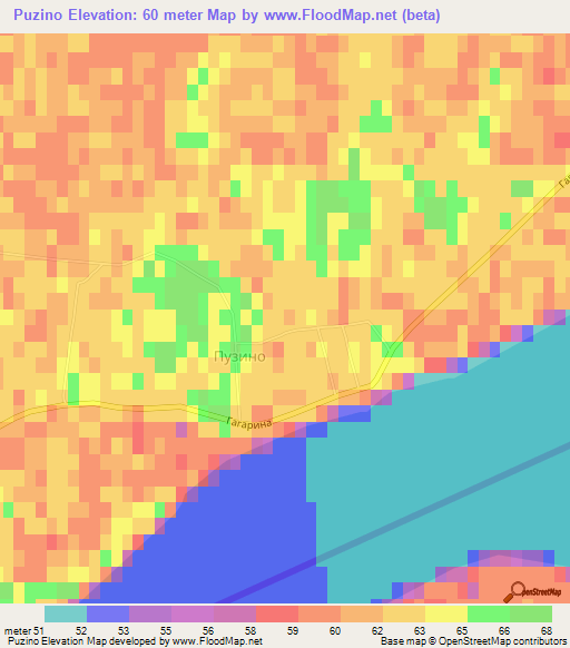 Puzino,Russia Elevation Map