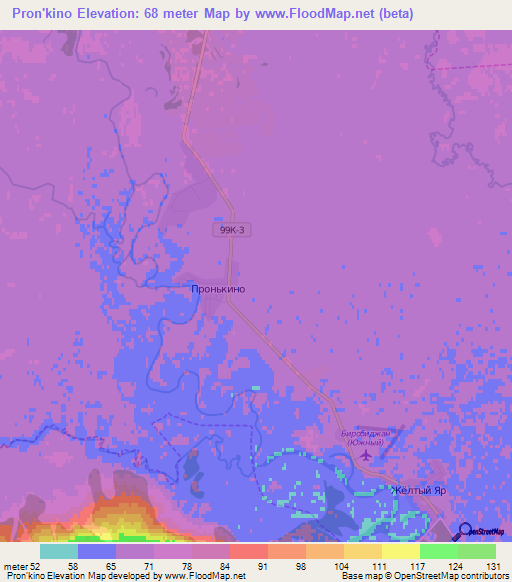 Pron'kino,Russia Elevation Map