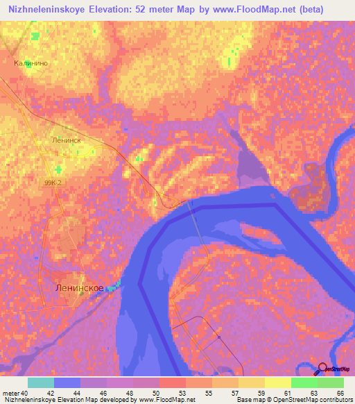 Nizhneleninskoye,Russia Elevation Map