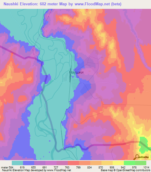 Naushki,Russia Elevation Map