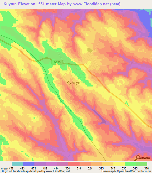 Kuytun,Russia Elevation Map