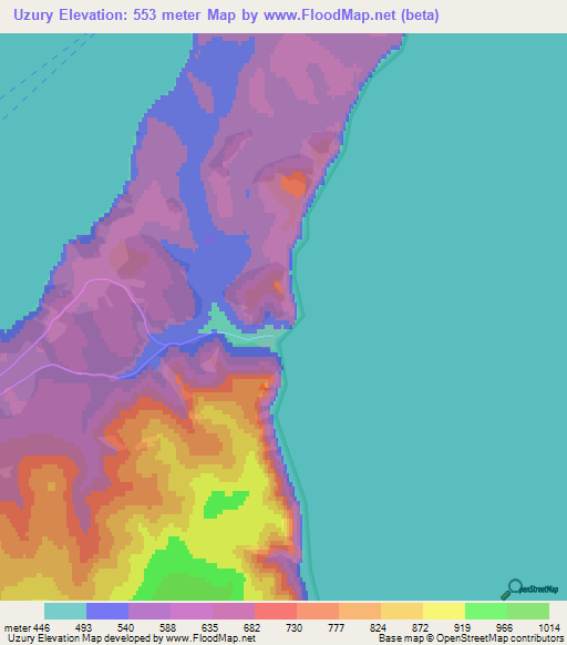 Uzury,Russia Elevation Map