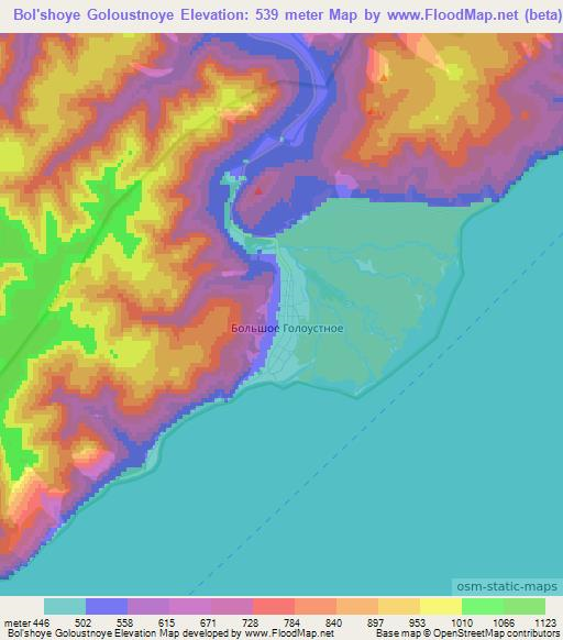 Bol'shoye Goloustnoye,Russia Elevation Map