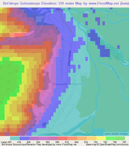 Bol'shoye Goloustnoye,Russia Elevation Map